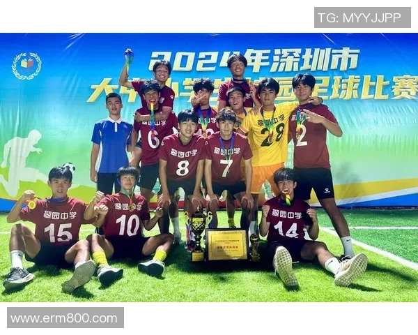 深圳足球队荣登足球比赛经验排行榜第一名引发热议